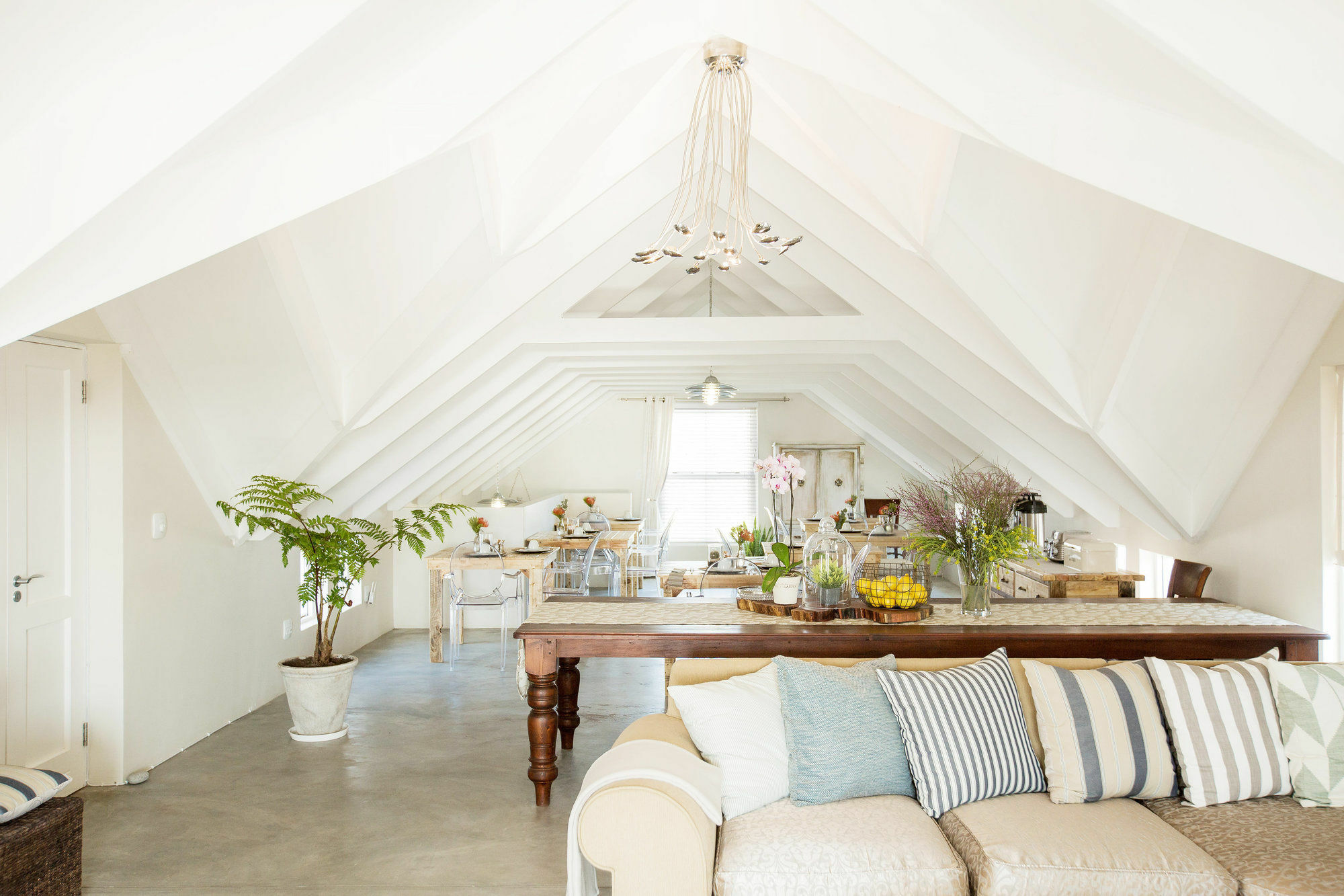 De Linden Boutique Guest House 帕特诺斯特 外观 照片